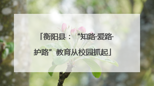 衡阳县：“知路·爱路·护路”教育从校园抓起