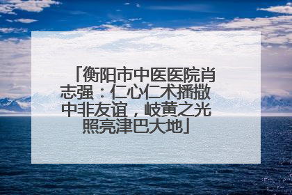 衡阳市中医医院肖志强：仁心仁术播撒中非友谊，岐黄之光照亮津巴大地