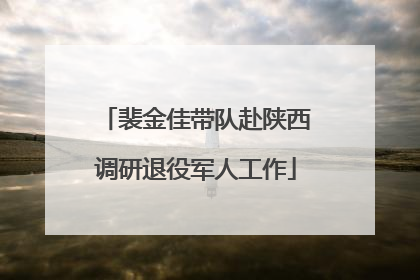 裴金佳带队赴陕西调研退役军人工作