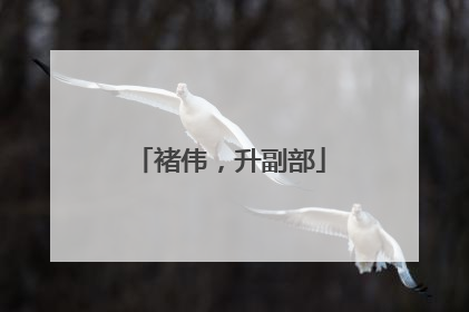 褚伟，升副部