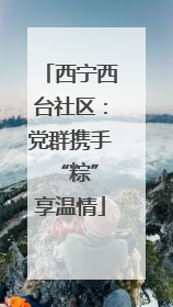 西宁西台社区：党群携手 “粽”享温情