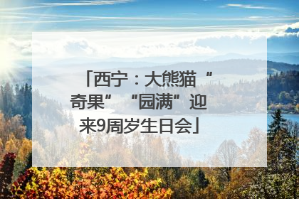 西宁：大熊猫“奇果”“园满”迎来9周岁生日会
