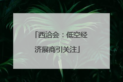 西洽会：低空经济展商引关注