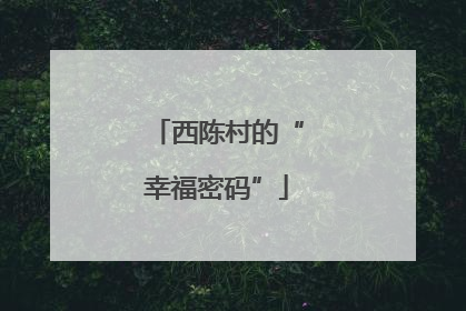 西陈村的“幸福密码”