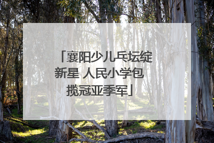 襄阳少儿乓坛绽新星 人民小学包揽冠亚季军