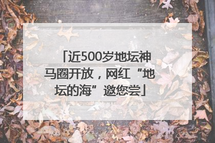 近500岁地坛神马圈开放，网红“地坛的海”邀您尝