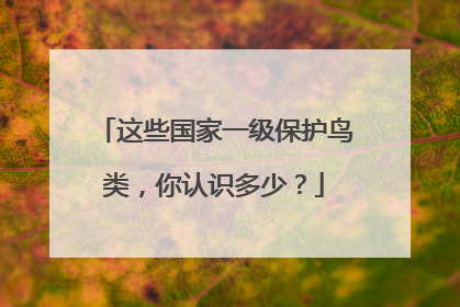 这些国家一级保护鸟类，你认识多少？