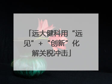 远大健科用“远见”+“创新”化解关税冲击