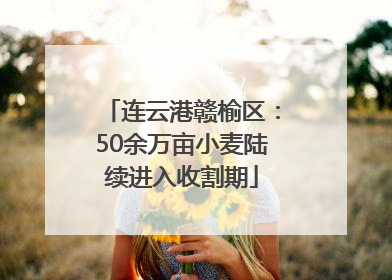 连云港赣榆区：50余万亩小麦陆续进入收割期