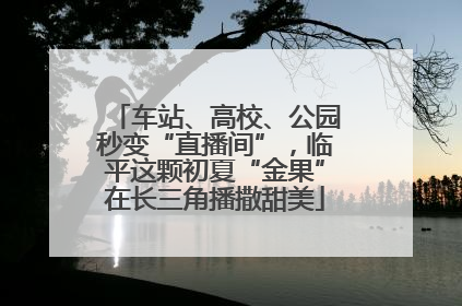 车站、高校、公园秒变“直播间”，临平这颗初夏“金果”在长三角播撒甜美
