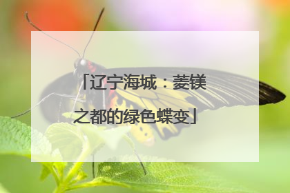辽宁海城：菱镁之都的绿色蝶变