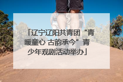 辽宁辽阳共青团“青暖童心 古韵承今”青少年观剧活动举办
