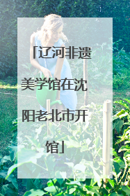 辽河非遗美学馆在沈阳老北市开馆