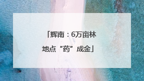 辉南：6万亩林地点“药”成金