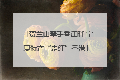贺兰山牵手香江畔 宁夏特产“走红”香港