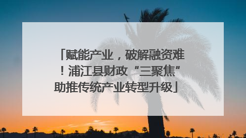 赋能产业，破解融资难！浦江县财政“三聚焦”助推传统产业转型升级