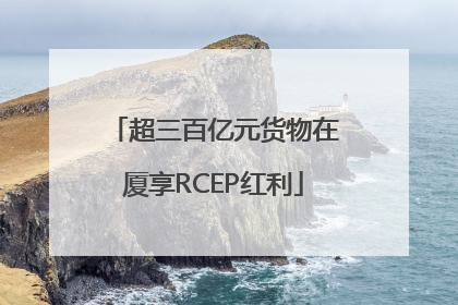 超三百亿元货物在厦享RCEP红利