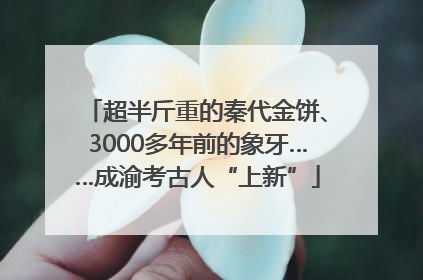 超半斤重的秦代金饼、3000多年前的象牙……成渝考古人“上新”
