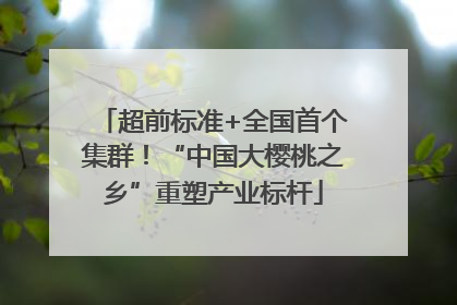 超前标准+全国首个集群！“中国大樱桃之乡”重塑产业标杆