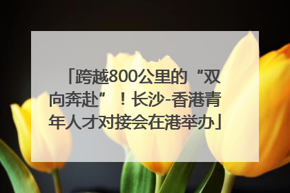 跨越800公里的“双向奔赴”！长沙-香港青年人才对接会在港举办