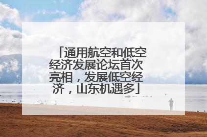 通用航空和低空经济发展论坛首次亮相，发展低空经济，山东机遇多