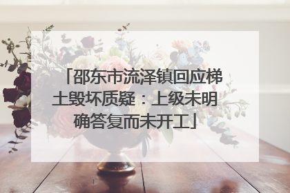 邵东市流泽镇回应梯土毁坏质疑：上级未明确答复而未开工