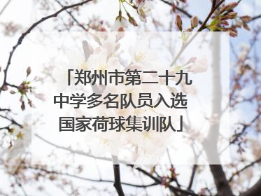 郑州市第二十九中学多名队员入选国家荷球集训队