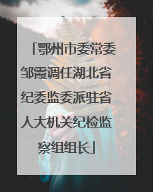鄂州市委常委邹霞调任湖北省纪委监委派驻省人大机关纪检监察组组长