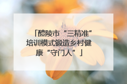 醴陵市“三精准”培训模式锻造乡村健康“守门人”