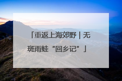 重返上海郊野｜无斑雨蛙“回乡记”