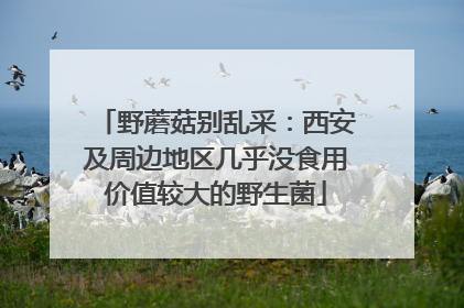 野蘑菇别乱采：西安及周边地区几乎没食用价值较大的野生菌
