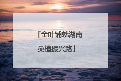 金叶铺就湖南桑植振兴路