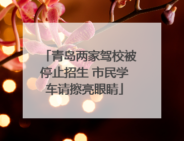 青岛两家驾校被停止招生 市民学车请擦亮眼睛