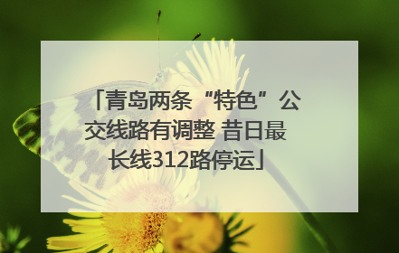 青岛两条“特色”公交线路有调整 昔日最长线312路停运