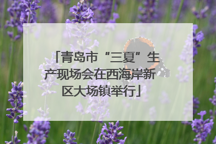 青岛市“三夏”生产现场会在西海岸新区大场镇举行