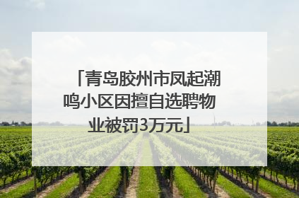 青岛胶州市凤起潮鸣小区因擅自选聘物业被罚3万元