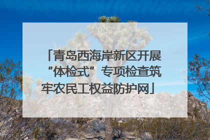 青岛西海岸新区开展“体检式”专项检查筑牢农民工权益防护网