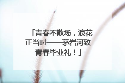 青春不散场，浪花正当时——茅岩河致青春毕业礼！