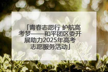 青春志愿行 护航高考梦——和平团区委开展助力2025年高考志愿服务活动