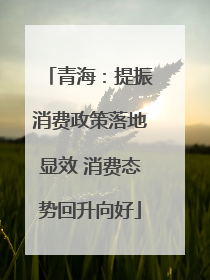 青海：提振消费政策落地显效 消费态势回升向好