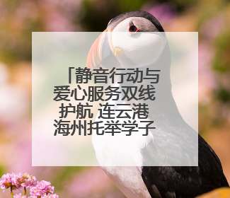 静音行动与爱心服务双线护航 连云港海州托举学子中考梦想
