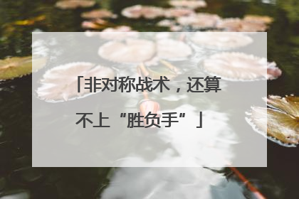 非对称战术，还算不上“胜负手”