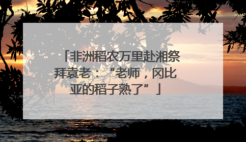 非洲稻农万里赴湘祭拜袁老：“老师，冈比亚的稻子熟了”