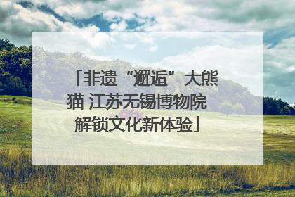 非遗“邂逅”大熊猫 江苏无锡博物院解锁文化新体验