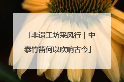 非遗工坊采风行｜中泰竹笛何以吹响古今