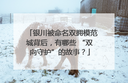 银川被命名双拥模范城背后，有哪些 “双向守护”的故事？