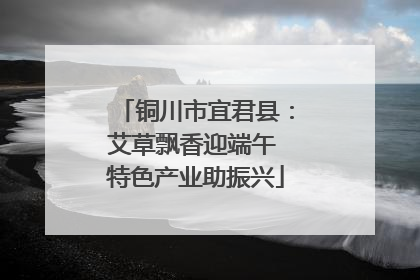 铜川市宜君县：艾草飘香迎端午 特色产业助振兴