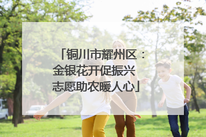 铜川市耀州区：金银花开促振兴 志愿助农暖人心
