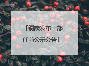 铜陵发布干部任前公示公告