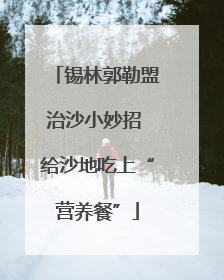 锡林郭勒盟治沙小妙招 给沙地吃上“营养餐”